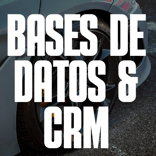 Bases de datos y CRM